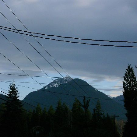 Mountain View Lodge - No Pets Allowed パックウッド エクステリア 写真